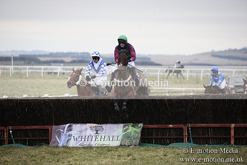 PtP 180218 393 - Combined Services Point-to-Point Larkhill 18/02/18