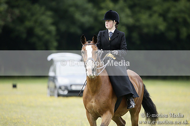 BVR160717-1578 - Side Saddle Classes 16/07/17
