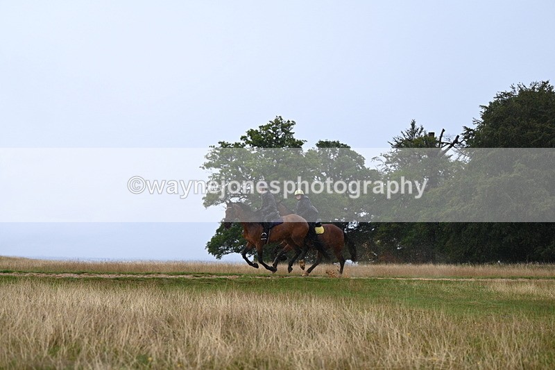 DSC_3657 - Time at Statue 13:51 to 14:55