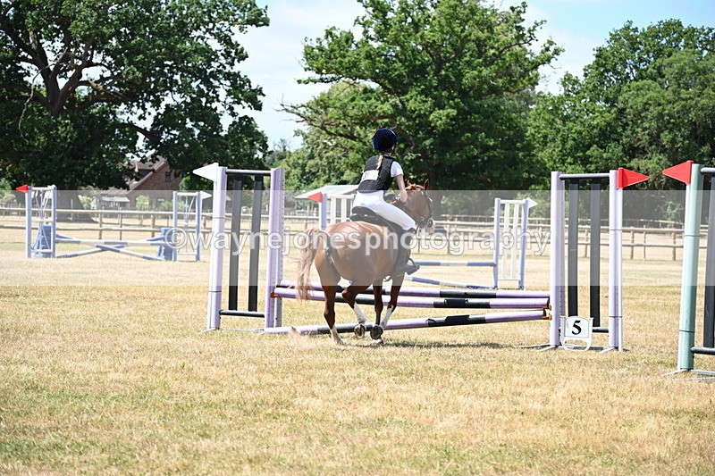 WJ6_5738 - Class 13 Novice 60cm