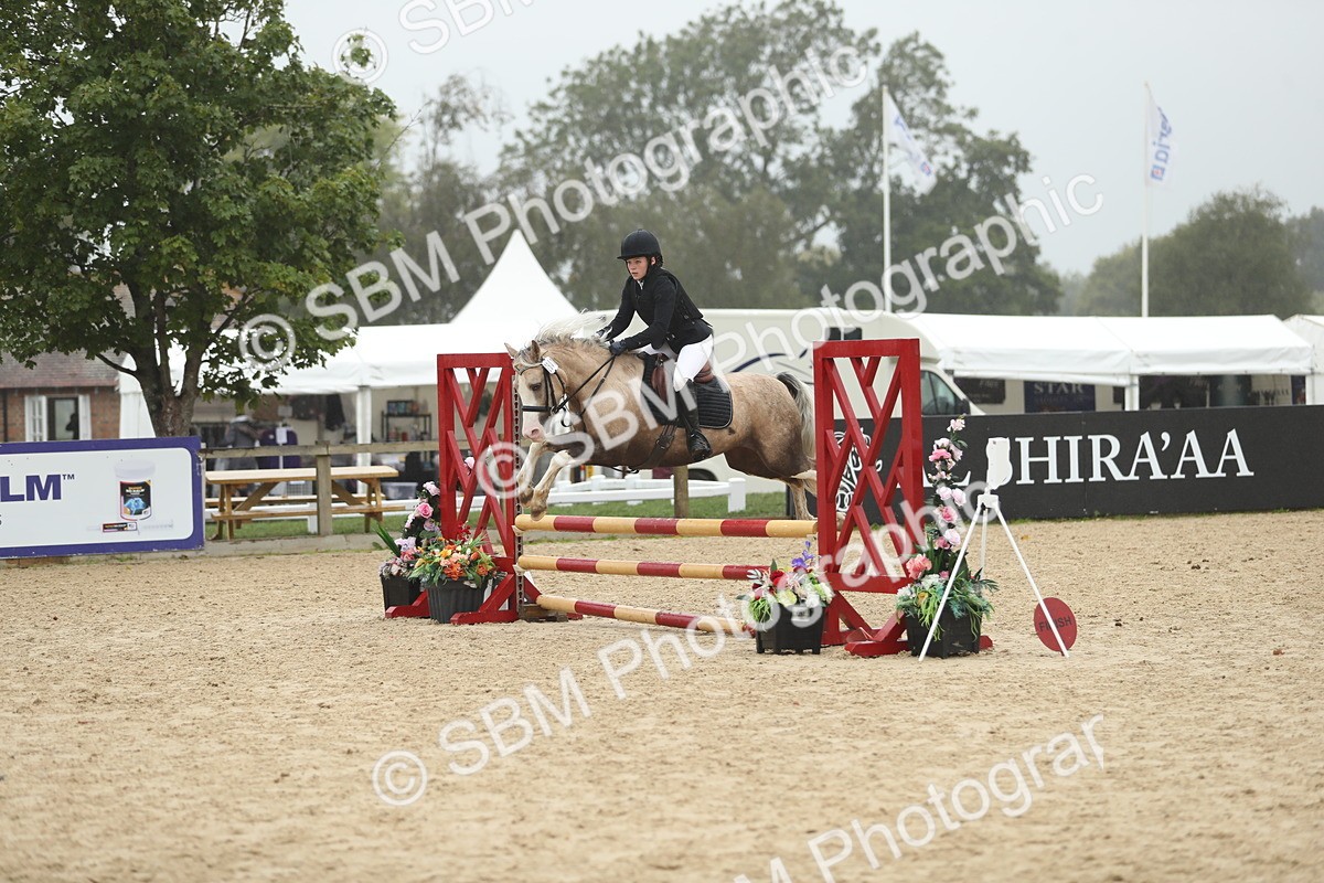 SBM_73826 - J16 - Junior Pony 75cm Championship