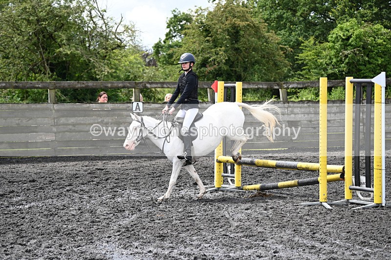WJ6_9723 - Class 13 Novice 60cm
