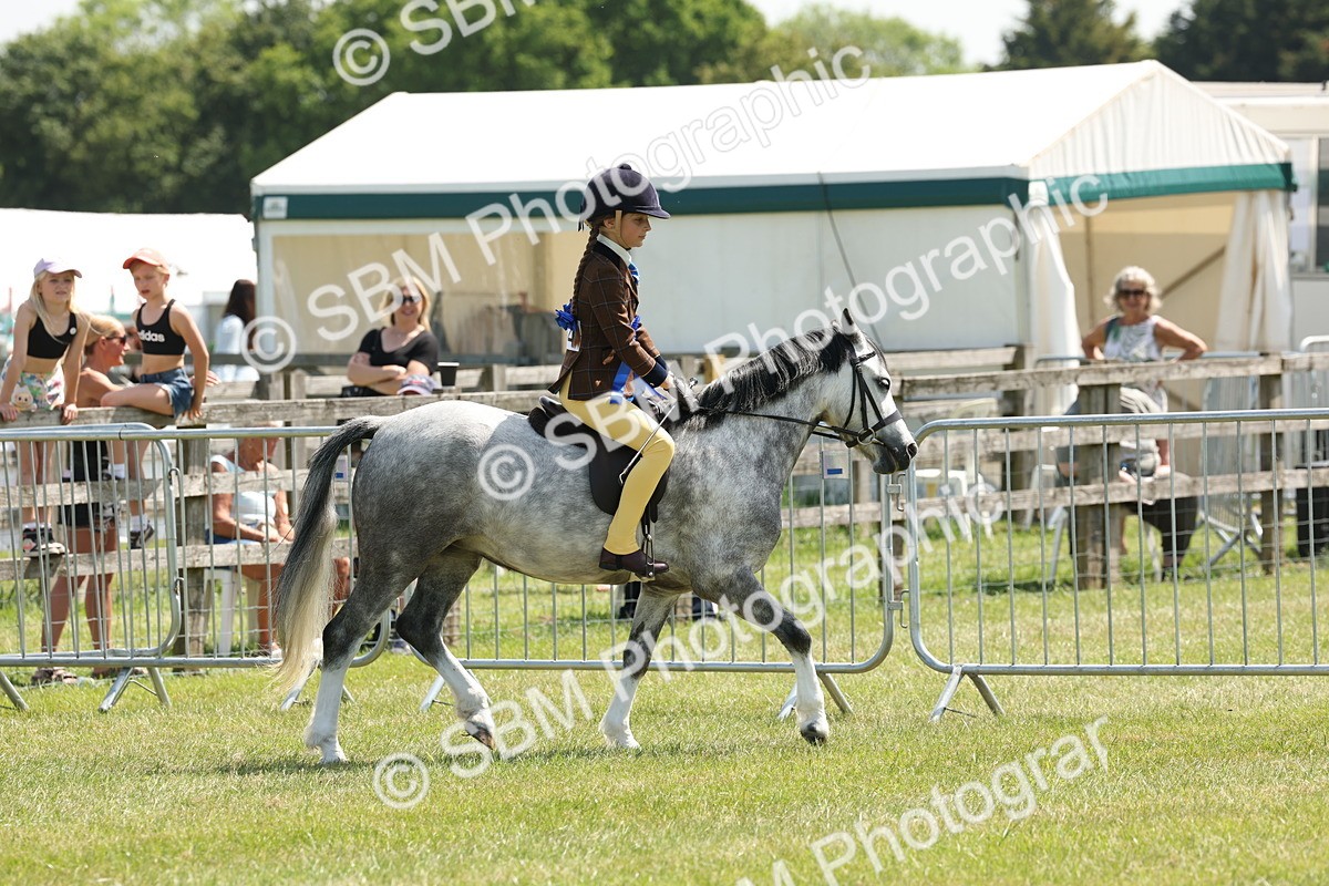 SBM_05393 - Class 24-25 - Mountain & Moorland In Hand Lead Rein and First Ridden