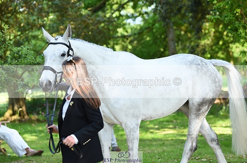 230524-161454-00790 - 259-KATE_BLUE-Millie_Juleff-WEDTrotUp+DR