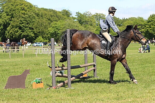 IMG_4012 - Working Hunter