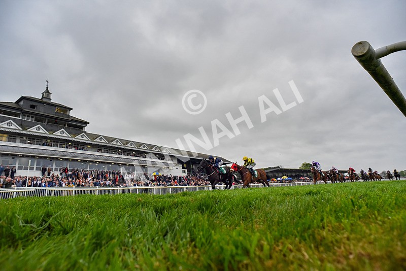 040524-Race 6-Vocal Studies-4490 - Race 6