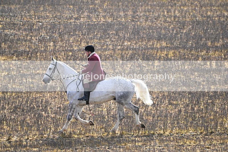 WJ6_8598 - Meet & Line One