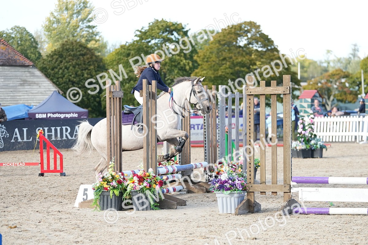SBM_29147 - J43 - Horse & Hound Open 50cm