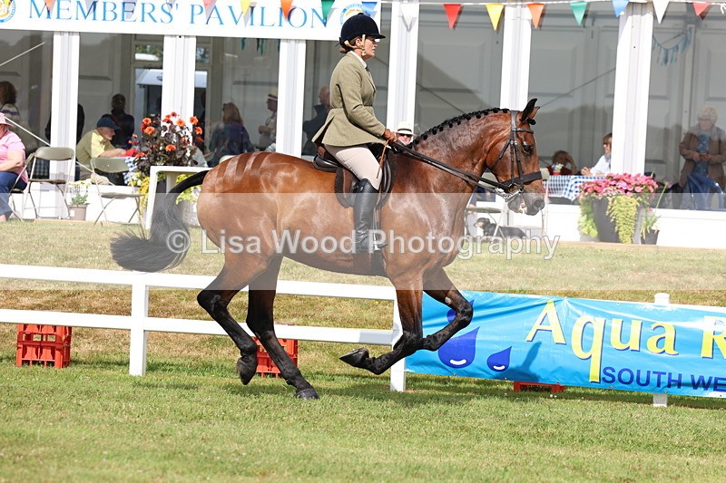 3E7A9411 - Class 4: Rising Star M/H Hunter