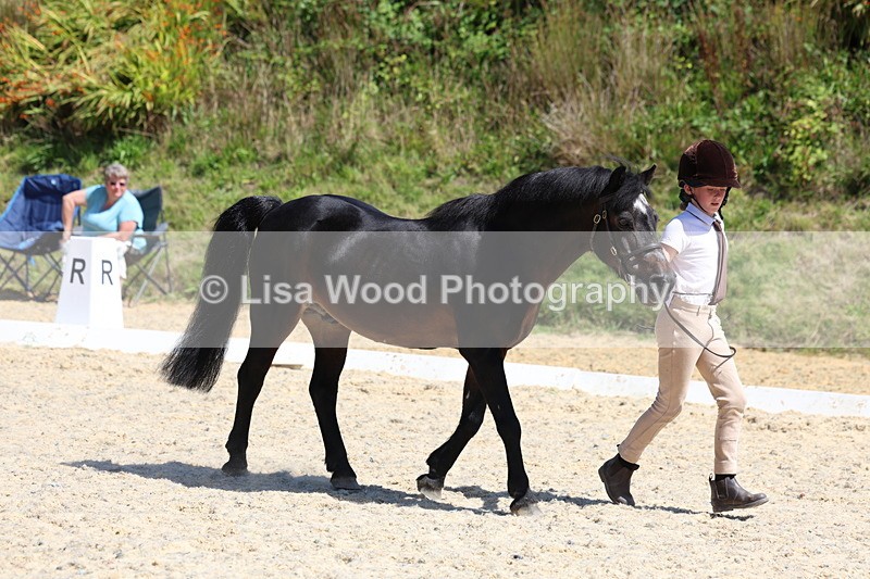 3E7A9428 - Class 29: Veteran In Hand