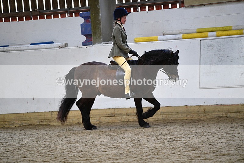 WJ5_6932 - Class 10 Childs Pony