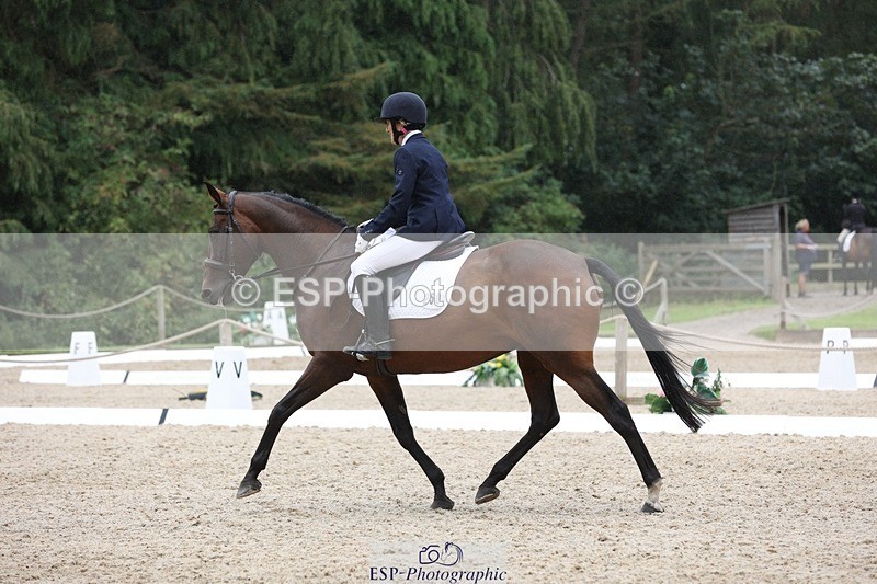 230812-122730-04017 - Cls 5 Novice Bronze 11.15 to 12.50 break