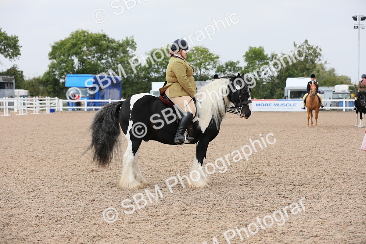 SBM_12751 - Class 307 Ridden Coloured Pony