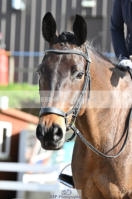 240218A-125704-07488 - 164-Anna.Johannson-Kapellmeister