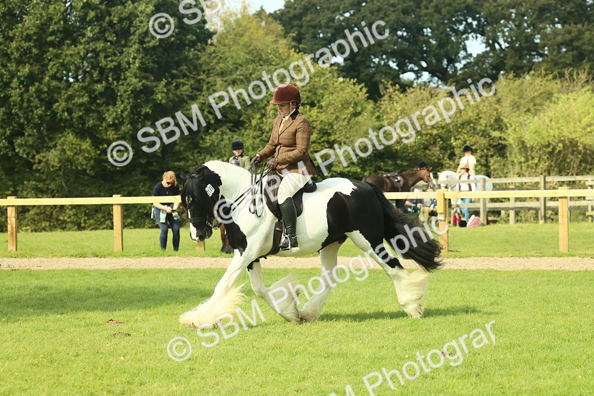 SBM_68790 - S58 - Mini Show Cob Ridden