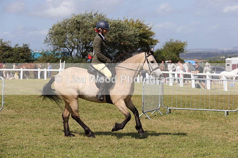 1X9A5537 - Class 38: NPS Novice Ridden Small and Large Breeds