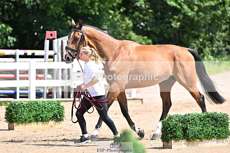 240718A-105242-01047 - Trot Up 11am to 12pm