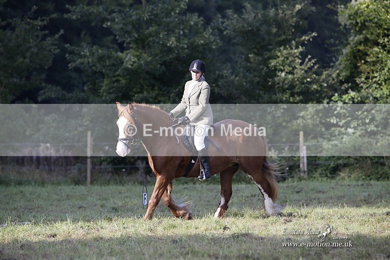 BVRC 120921 42 - Bourne Valley Riding Club UA Dressage & Show Jumping 12/09/21