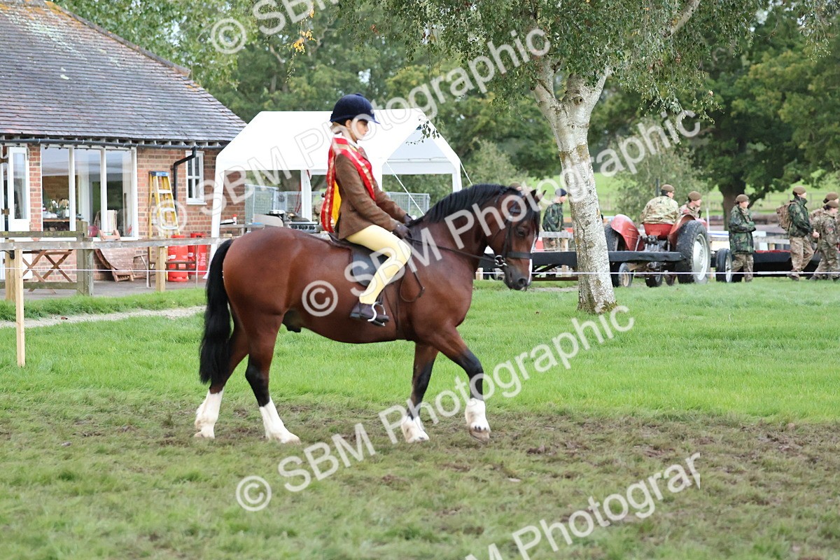 SBM_53394 - Super Supreme Championship (Sat)