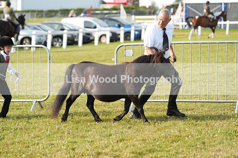 DSC04407 - Classes 44 & 45: NPS M&M Brood Mare and Foal