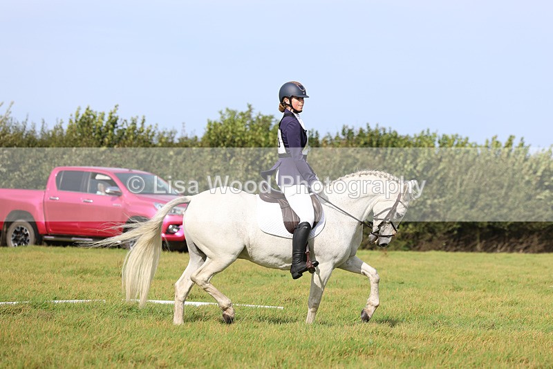 3E7A6261 - Class 1: Trebudannon Open: Dressage (Part 2)