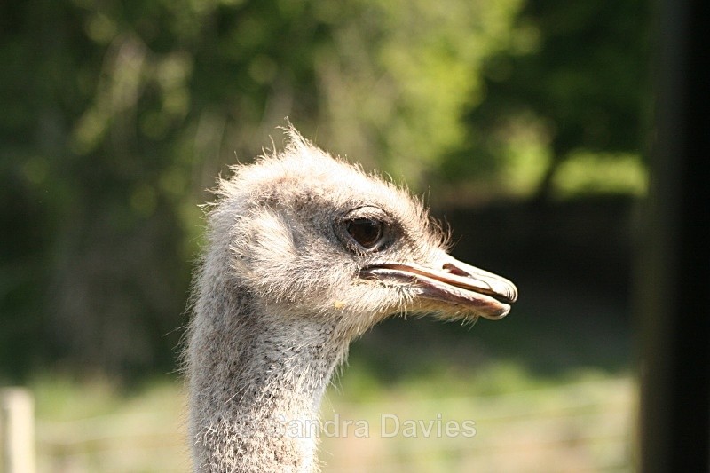  - Wildlife & People