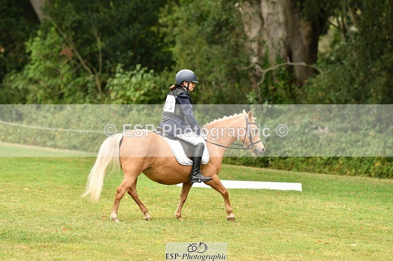 250820A-130411-05728 - 12 to 13.00