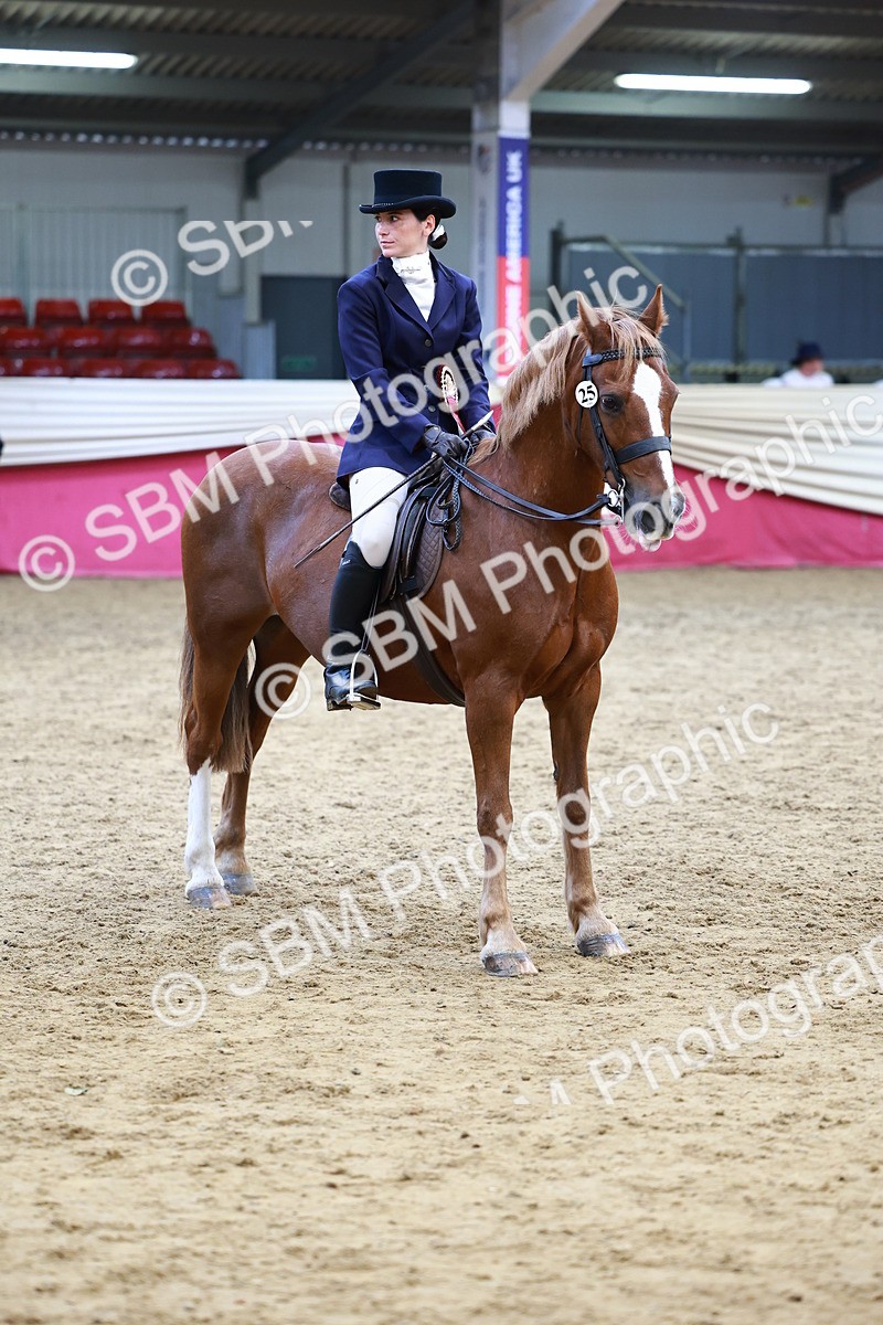 SBM_23490 - Class 904 - Supreme Final - Ridden Diamond