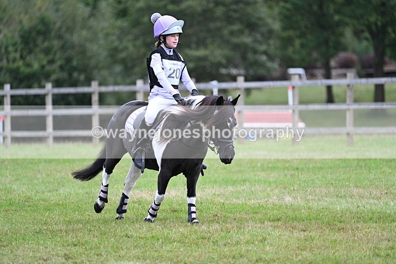 WJ7_7597 - 40cm Time 10:27 to 10:47