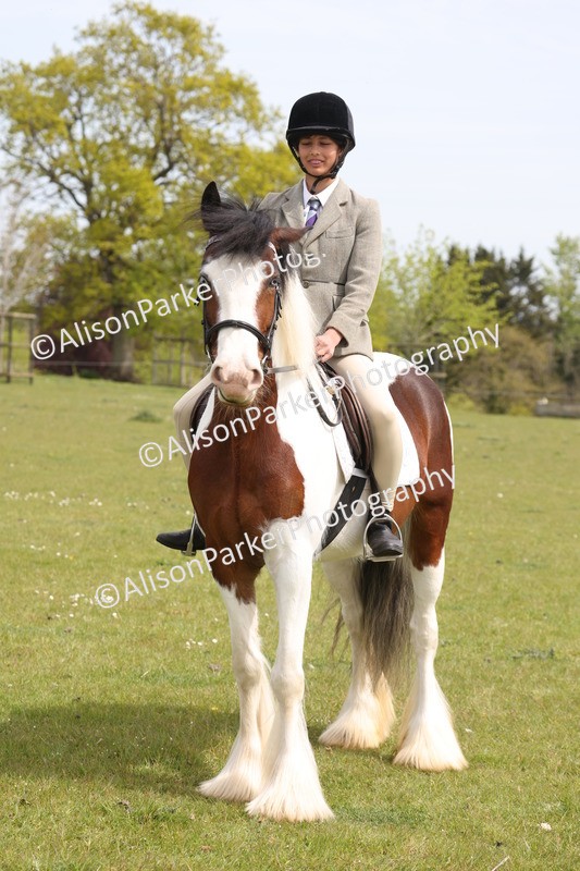 20260426-3008 - Class 33 - Best Pony 14.2hh and Under