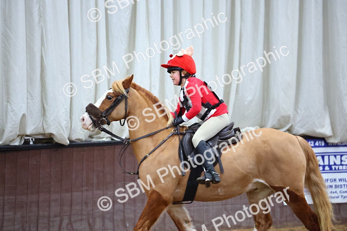 SBM_002004 - Class 4 - Festive Fences - 70cm
