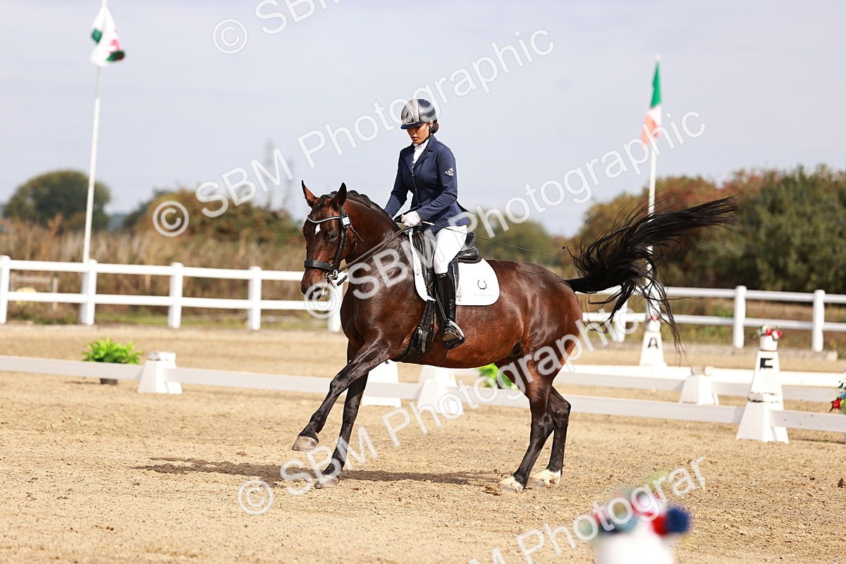 SBM_017572 - Class 11 - Advanced Medium 6