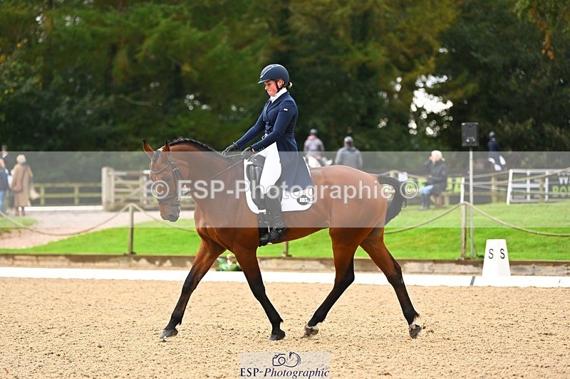 231021-121138-15081 - 346-MY.EASTWOOD.BRIGHTSIDE-Darcy.Zander-DR