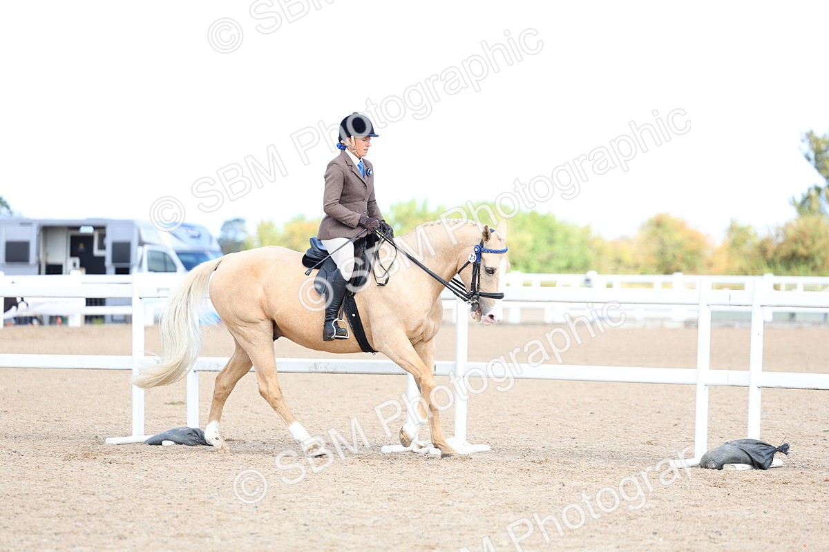 SBM_11199 - Class 306 - Ridden Foreign Breeds - Part Bred