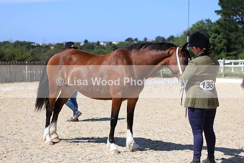 3E7A9901 - In Hand Championship