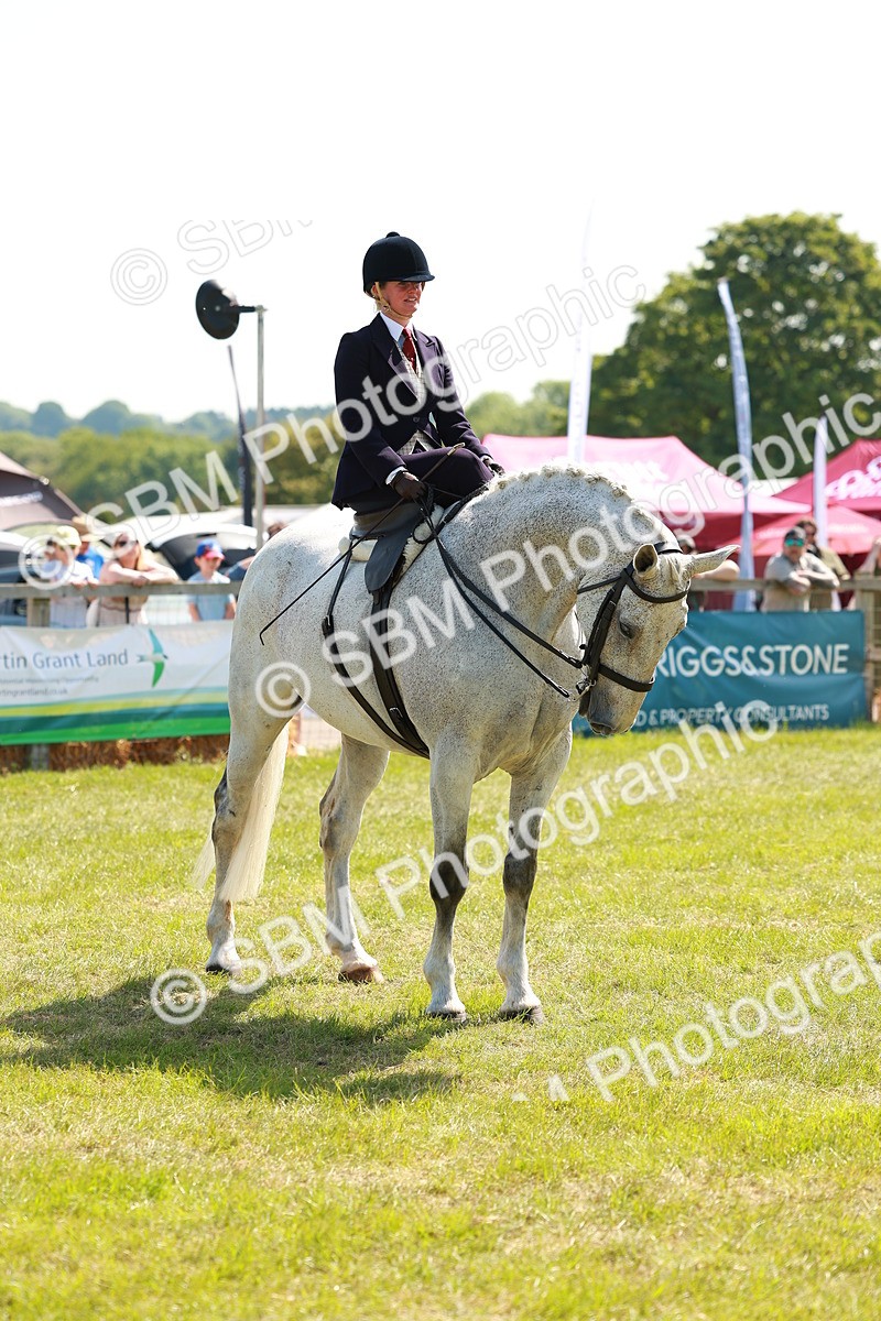 SBM_13375 - Class 70-71 - Side Saddle