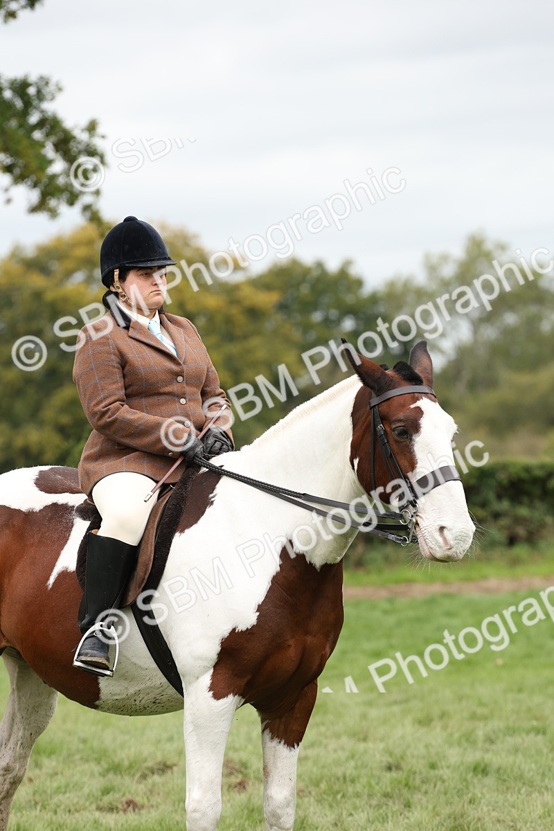SBM_67303 - S67 - Piebald & Skewbald Horse Ridden