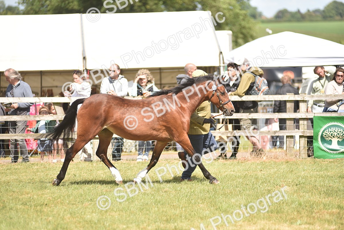 SBM_16110 - Class 117-122 - SSADL RIHS Qualifier