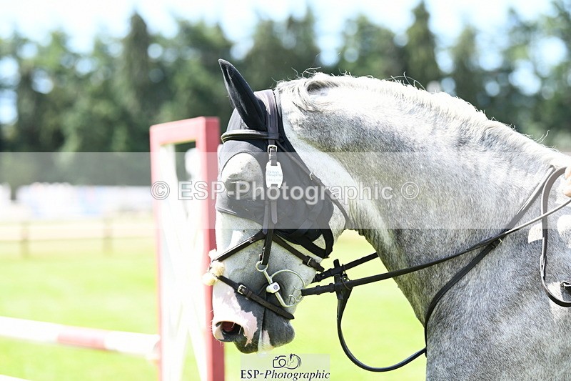 250703A-105733-00599 - Cls 11 5 Year Old