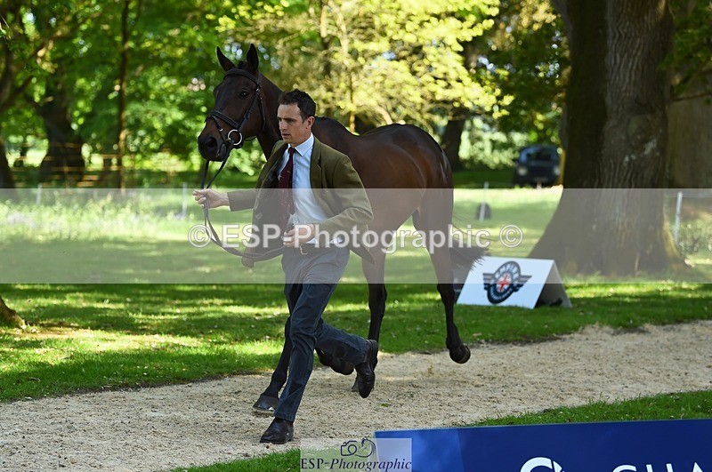 230524-155026-00536 - 380-PUBLIC_ADDRESS-Tom_Strawson-WEDTrotUp+DR