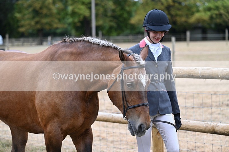 WJ7_9081 - Class 4a Prettiest Mare 14.2hh and over