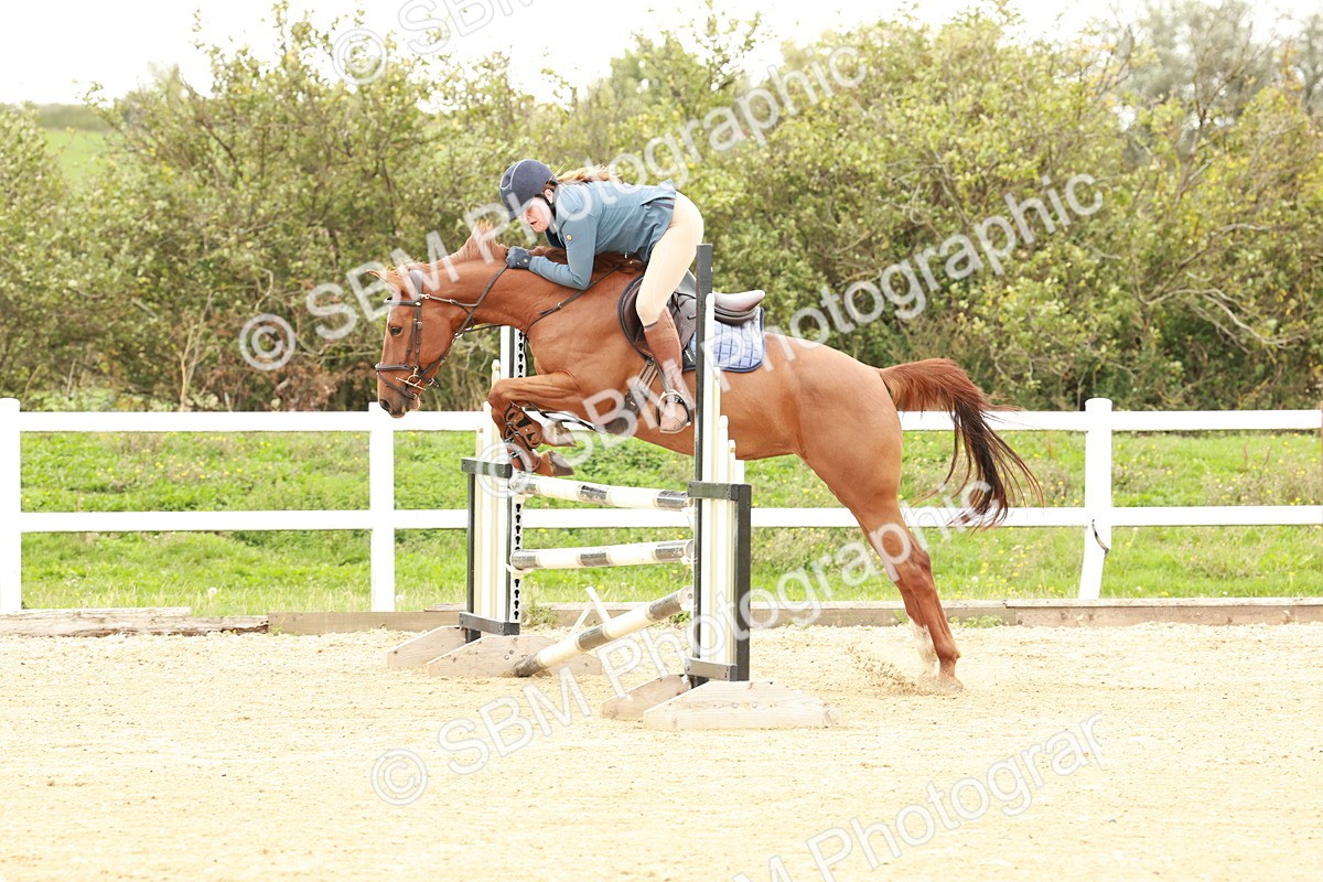 1I0A6719 - Class 2 - Senior British Novice