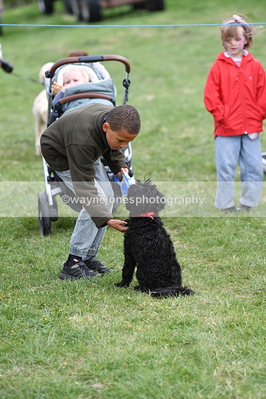 WJ5_9108 - Class 1 Best Cross Breed / Heniz 57