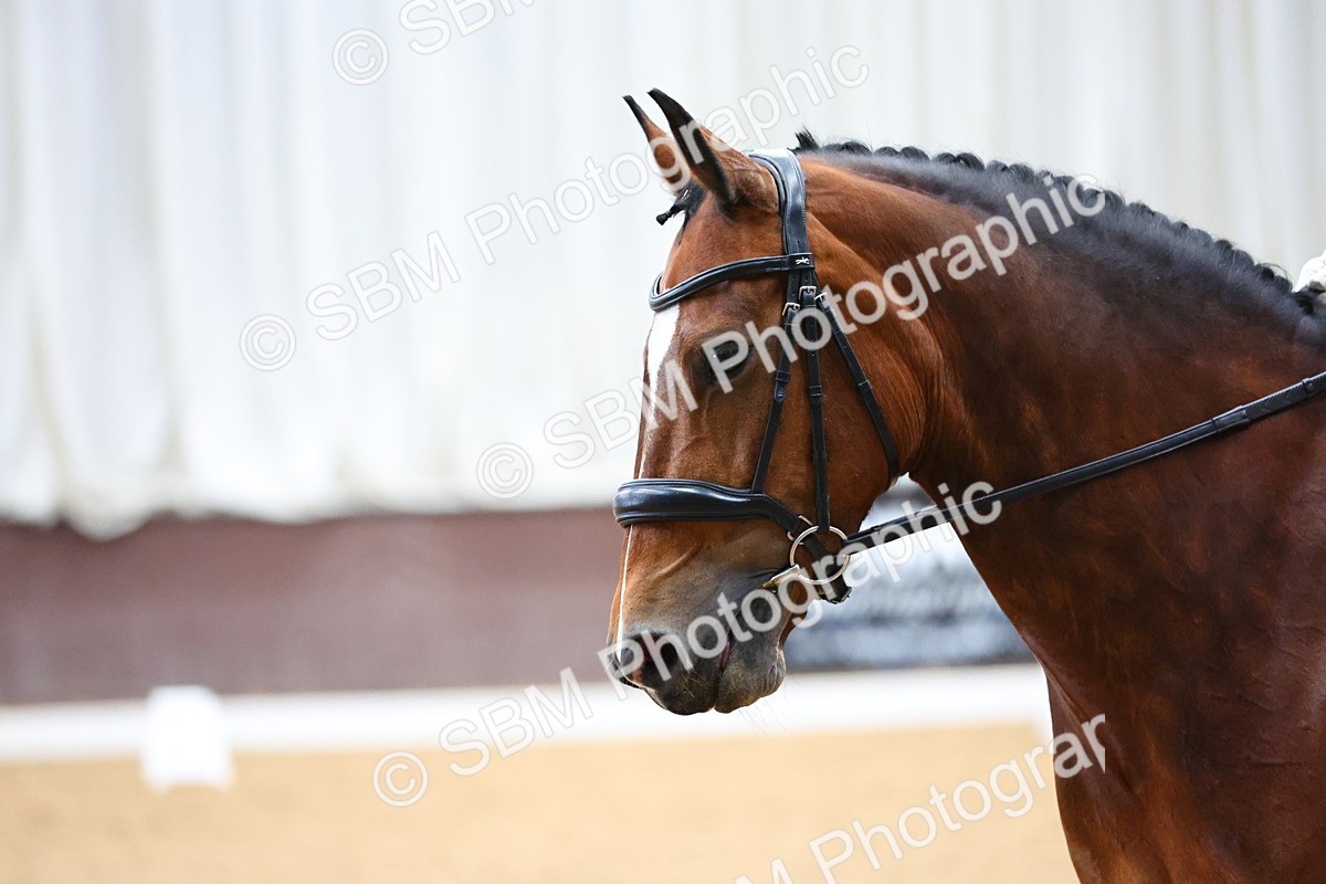 SBM_017167 - Class 5 - Novice FSM