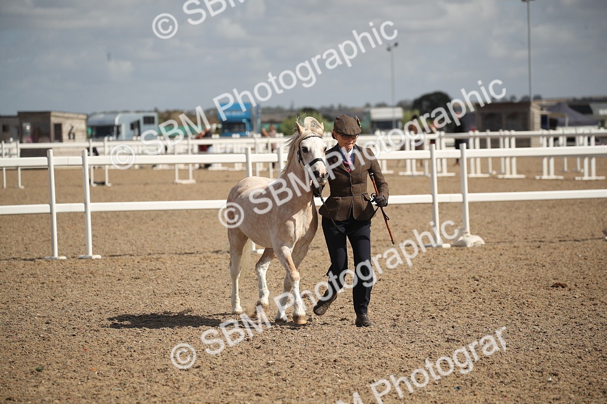 SBM_23425 - Class 604 - 2026 - Area IH Diamond
