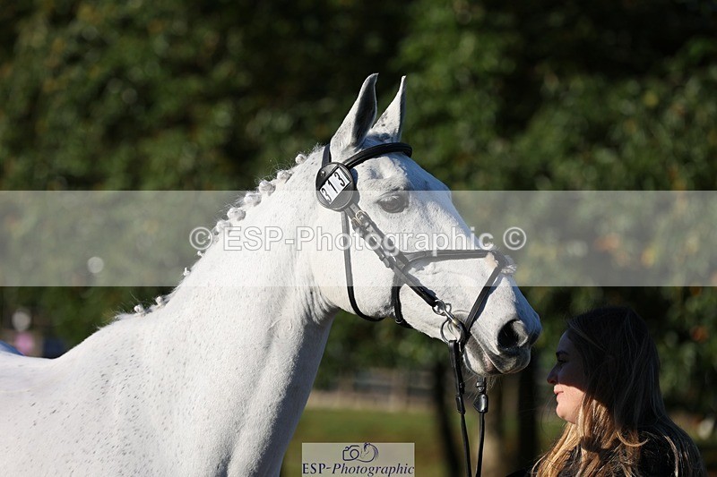 241027-084608-14808 - 313-Chloe.Chamulewicz-XYZ.BILL