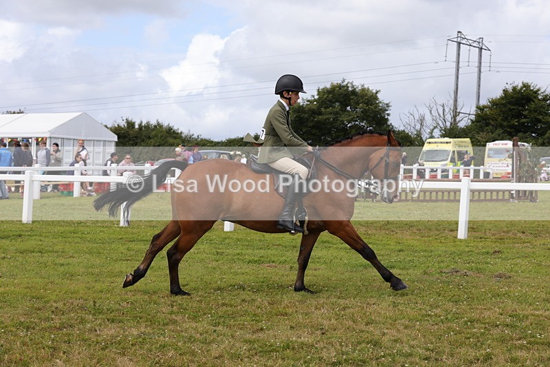 1X9A4054 - Class 32: Show Hunter Pony 153cm and under