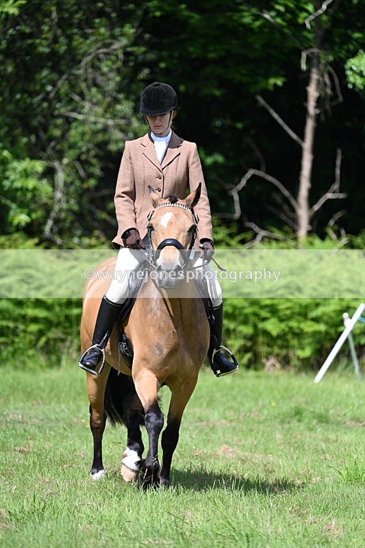 WJ7_1164 - Class 11 Condition & Turnout