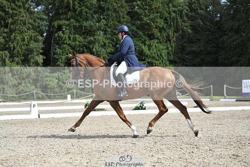 230812-154358-05188 - Cls 10 FEI Inter I Silver