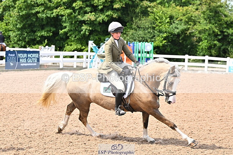 240619A-110110-00009 - Cls 1 British Novice and 90cm Open